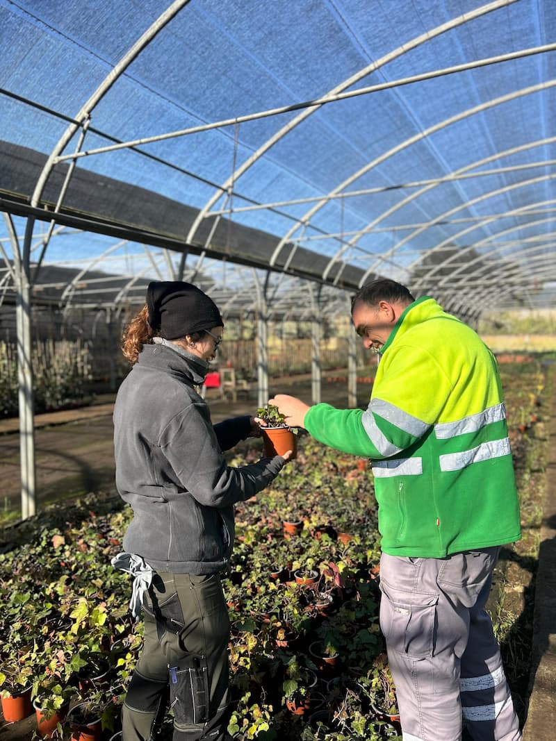 Sostenibilitat i resiliència